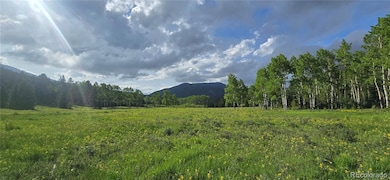 0 Lot 9 10 & 11 Deer Trail Rd unit REC5141186, Idaho Springs, CO 80452 - photo 6