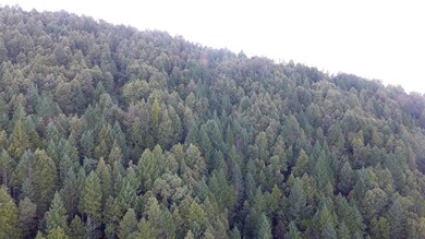 DJI_0184