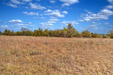 6 Freeny Valley Rd, Caddo, OK 74729 - photo 7