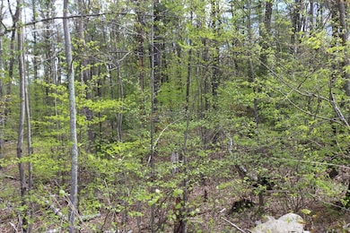 18 Ludlow Rd, Windham, NH 03087 - photo 7