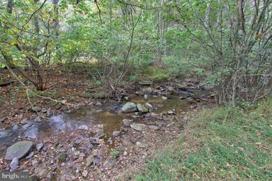 719 Gid Brown Hollow Rd, Washington, VA 22747 - photo 5