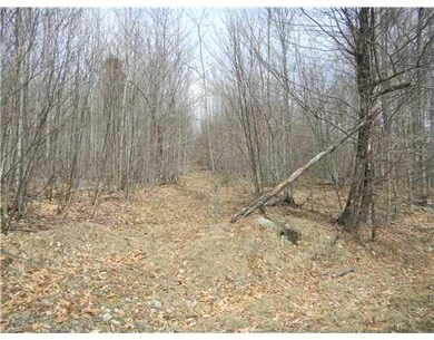 Land. Old logging road running into...
