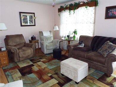 Living Room, dog not included with property