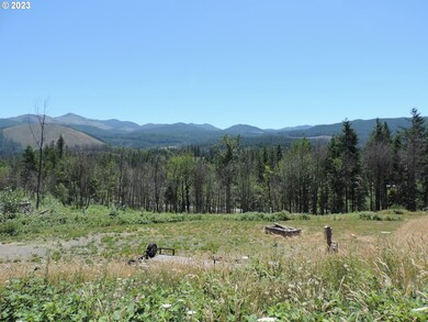 314 Thistledown Ln unit Lot 4, Gates, OR 97346 - photo 5