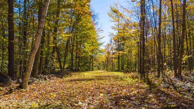 0 N Wilmot Rd, Wilmot, NH 03287 - photo 2