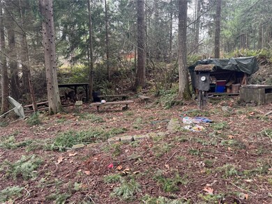 18145 Stony Ct SE, Yelm, WA 98597 - photo 6