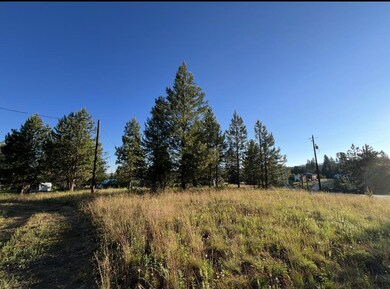 1909 Gold Dust Rd unit 60, Cascade, ID 83611 - photo 2