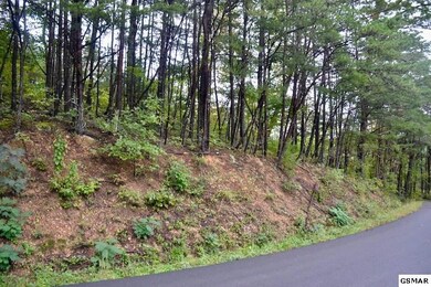 Additional View 5