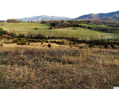 Additional View 6