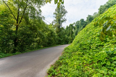 206 Caney Creek Rd, Pigeon Forge, TN 37863 - photo 4