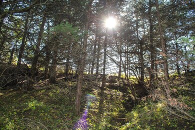 3280 260th St, Orient, IA 50858 - photo 4