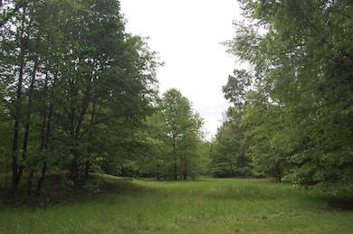 414 Laurel Falls Cove, Eads, TN 38028 - photo 6