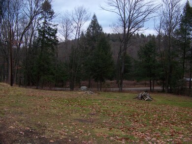 320 Birchview Heights, Westminster, VT 05158 - photo 2