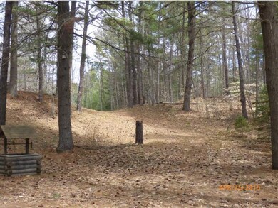 75 Duncan Lake Rd, Ossipee, NH 03864 - photo 5