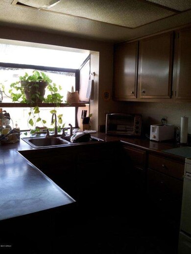 garden window (2)