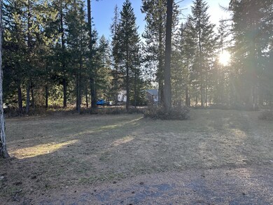 LOT 10 Hogans Way, Chewelah, WA 99109 - photo 6