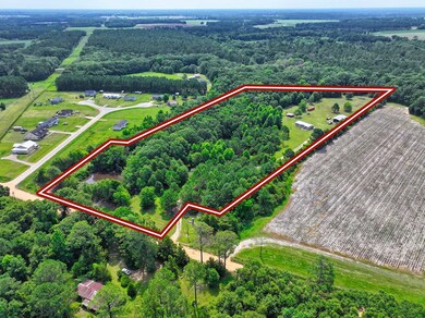 17360 Eason Crossing Rd, Boston, GA 31626 - photo 2