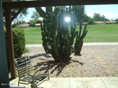 Back Patio