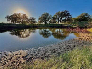 14114 Howard Lake Ct, Lipan, TX 76462 - photo 2
