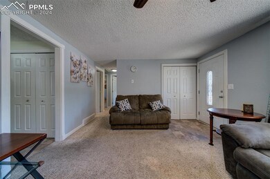 Carpeted living room with ceiling fan and a textur