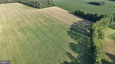 1.62 ACRES Russell Rd, Bridgeville, DE 19933 - photo 3