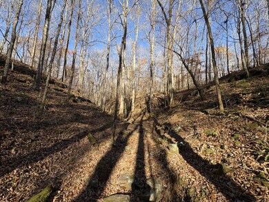 0 Pigpen Hollow Rd unit RTC3050203, Waynesboro, TN 38485 - photo 4