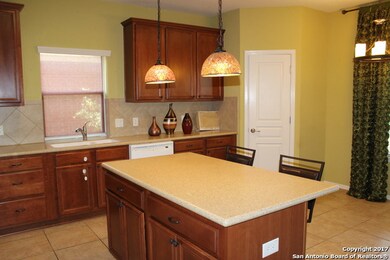 25627 Wentink Ave, San Antonio, TX 78261 - photo 6