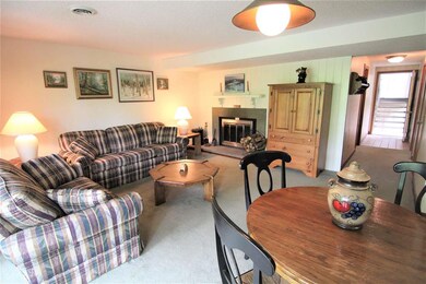 441 Three Ridges, Wintergreen Resort, VA 22967 - photo 4
