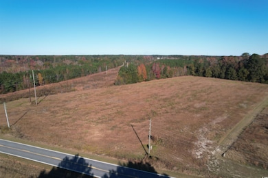 TBD Carroll Rd, Latta, SC 29565 - photo 3