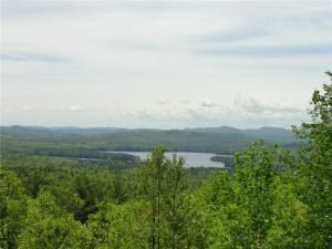 0 Bear Trap Rd unit 1463871, Bridgton, ME 04009 - photo 2