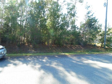 0 SW 112 Place unit MFROM713502, Ocala, FL 34476 - photo 2
