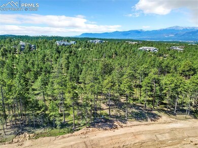 14371 Allen Ranch Rd, Black Forest, CO 80908 - photo 5