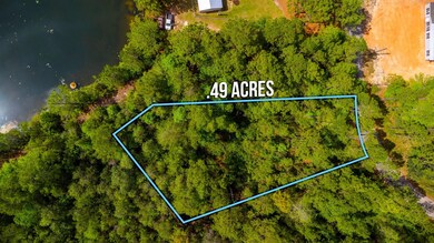 1-web-or-mls-28 E Michaelangelo Rd Aeria