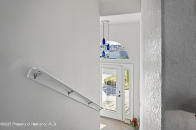 3459 Flamingo Blvd, Hernando Beach, FL 34607 - photo 6