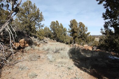 2976 Juniper Way unit Lot 243, New Harmony, UT 84757 - photo 5