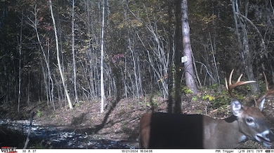 2 Watt Abbitt Rd, Appomattox, VA 24522 - photo 7