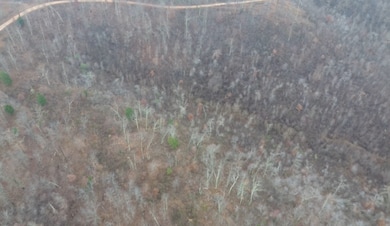 0 Rolling Hills Rd unit RTC3061232, Lobelville, TN 37097 - photo 2