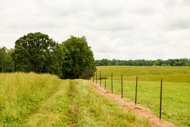 0 David Patterson Rd, Lutts, TN 38471 - photo 4