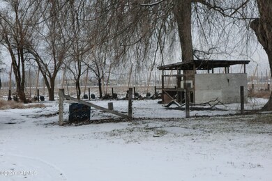 Pasture