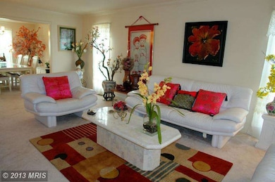 13571 Smallwood Ln, Chantilly, VA 20151 - photo 3