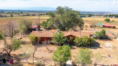 25186 Cedar Mesa Rd, Cedaredge, CO 81413 - photo 7