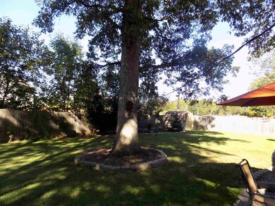 Rear Yard View