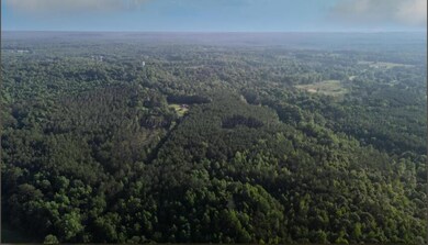IMG_2799