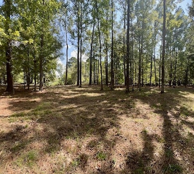 2102 Gateway Meadows, Hemphill, TX 75948 - photo 7