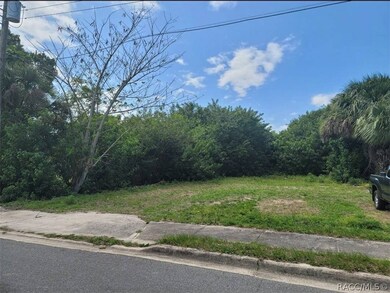 from right showing bordering trees for privacy
