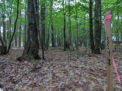 0000-Unit 39 Trailside Dr, Weldon Township, MI 49683 - photo 6