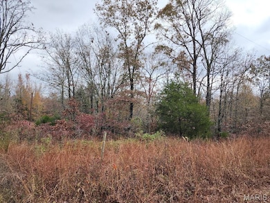 0 Carter Route 266 unit MAR24069627, Grandin, MO 63943 - photo 5