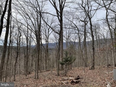 0 River View Rd unit VAPA105930, Rileyville, VA 22650 - photo 3