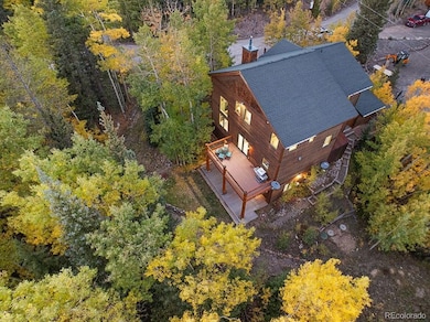 294 Mine Dump Rd, Fairplay, CO 80440 - photo 6