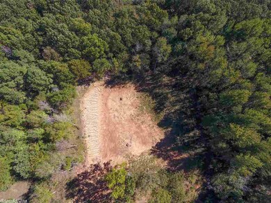 0 Purnell, Bono, AR 72416 - photo 7